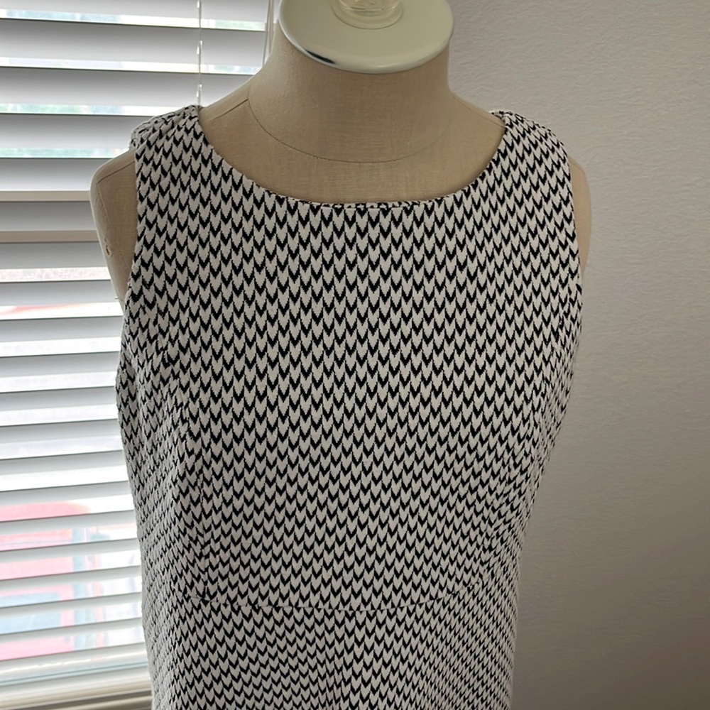 LOFT black and white swing dress
